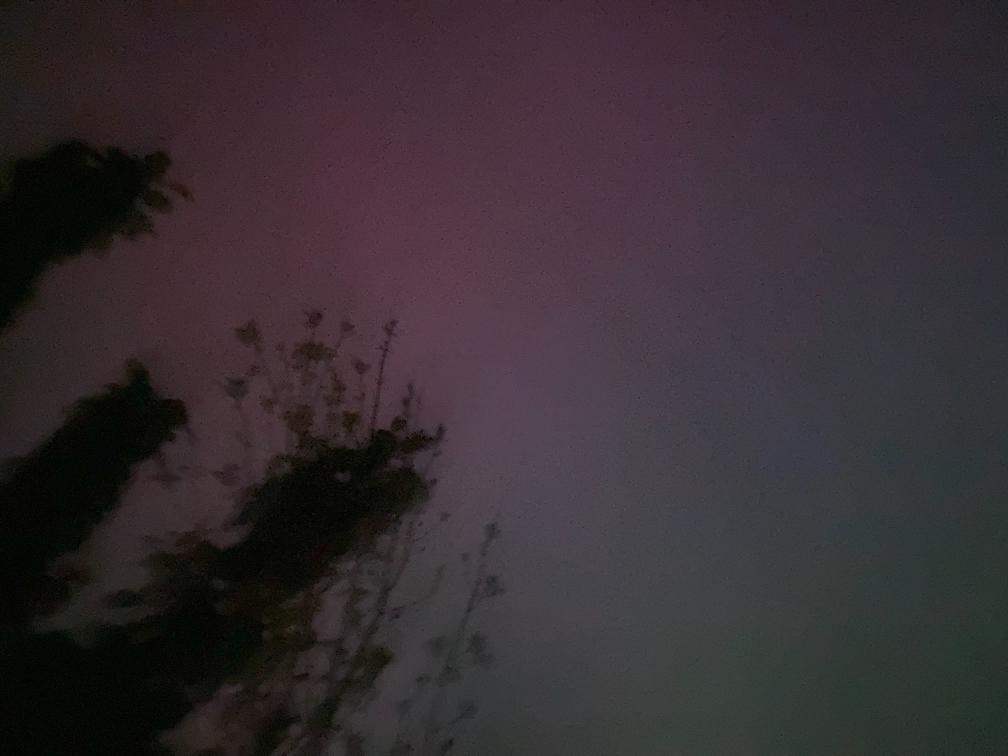Noorderlicht 10 mei 2024